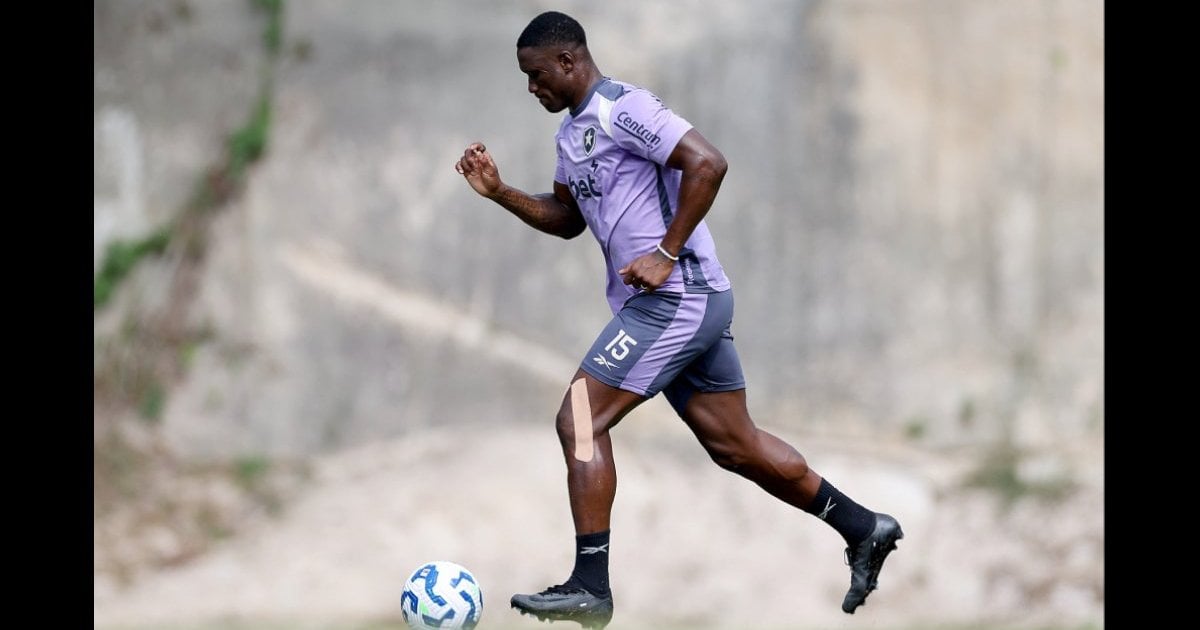 Botafogo zera departamento médico e tem elenco todo à disposição às vésperas do Brasileirão-2025