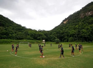 51804871930_fc87435d56_k-scaled