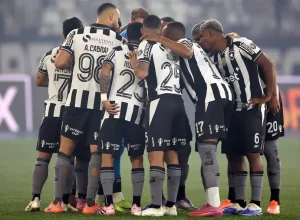 Botafogo treina para reta final do Brasileirão