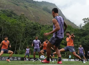 Jogadores do Botafogo comemoram gol em partida do Brasileirão.