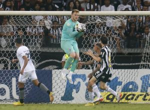 Goleiro Neto em ação com uniforme do Botafogo