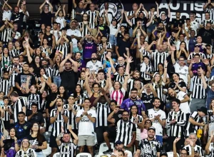 Botafogo reúne quase 80% do público pagante no Nilton Santos, mas clássico com o Fluminense termina com prejuízo financeiro.