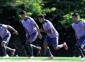 Botafogo Sub-20 estreia no Brasileirão contra o São Paulo com desfalques e foco em conquistar o título nacional nesta temporada.